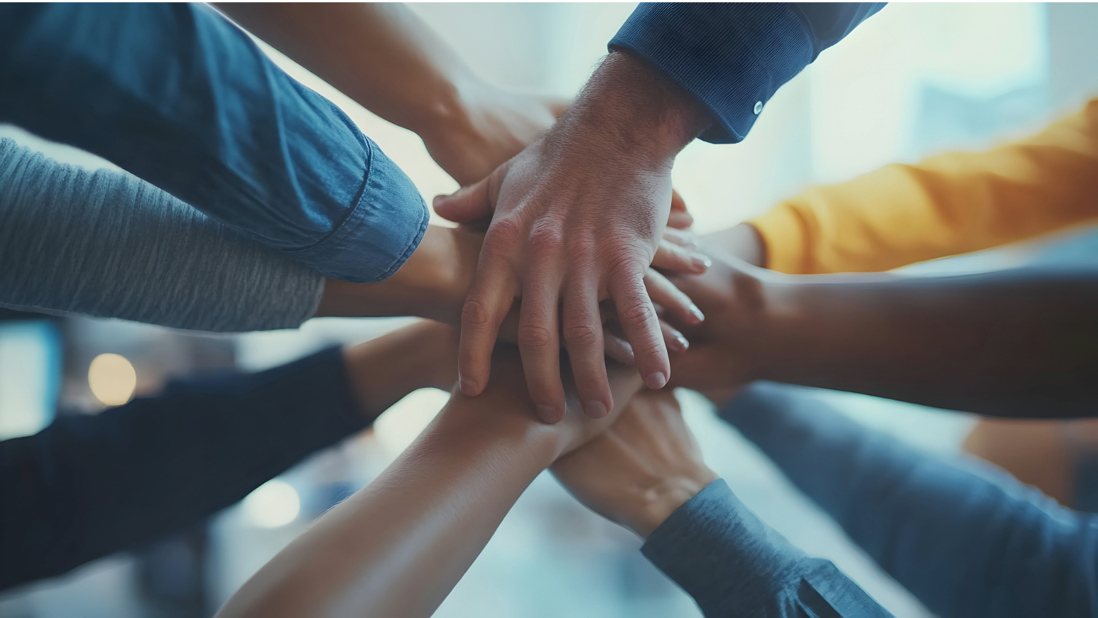 Job Club: la forza del gruppo per trovare lavoro con successo